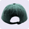 gorra vintage verde - atras
